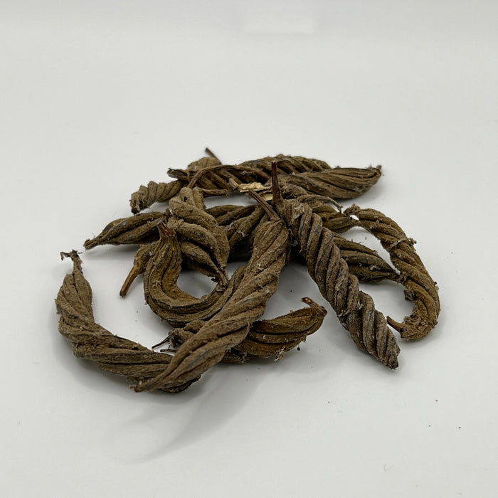 Twisty Pods - Aquarium Botanical