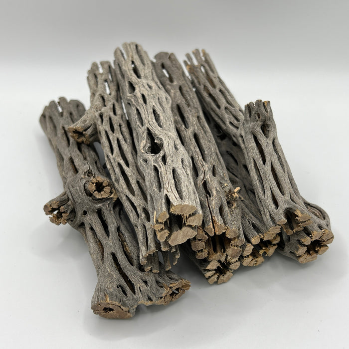 Cholla Wood - Aquarium Botanical