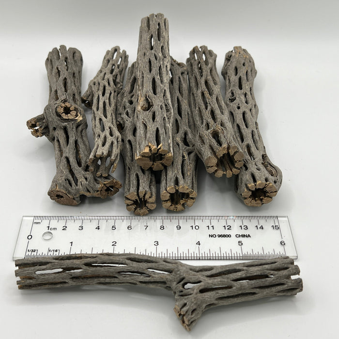 Cholla Wood - Aquarium Botanical