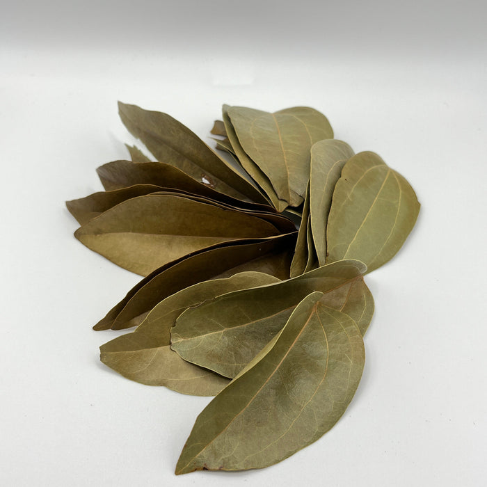 Cinnamon Leaves - Aquarium Botanical
