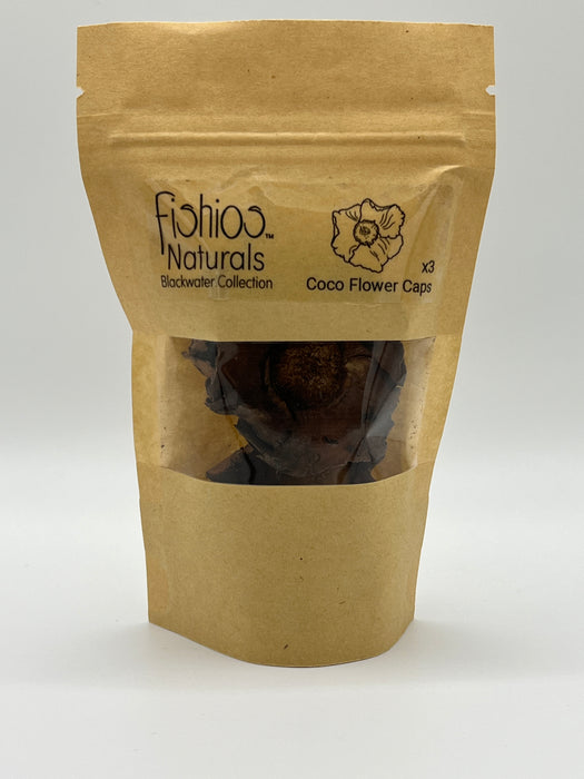 Coco Flower Caps - Aquarium Botanical