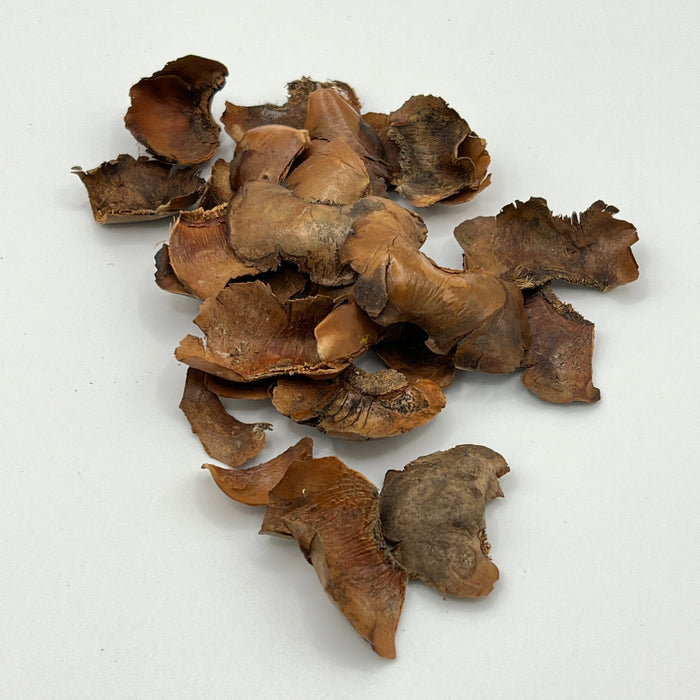 Coco Petals - Aquarium Botanicals