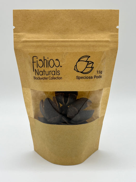 Speciosa Pods - Aquarium Botanical
