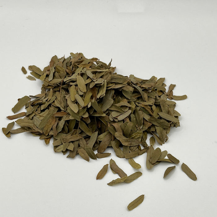 Tamarind Leaves - Aquarium Botanical